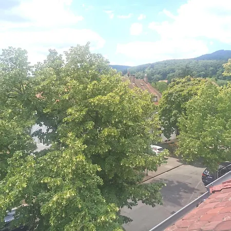Forest & Wein Apartman